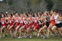 2008-11-02_12-31-59.jpg