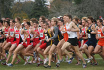 2008-11-02_12-32-00.jpg