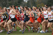2008-11-02_12-32-01.jpg
