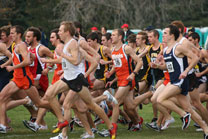 2008-11-02_12-32-02.jpg