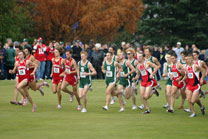 2008-11-02_12-40-31.jpg