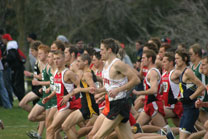 2008-11-02_12-40-38.jpg