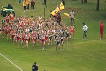2008-11-02_12-43-52.jpg