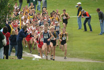 2008-11-02_12-44-08.jpg