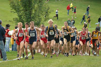 2008-11-02_12-44-13.jpg