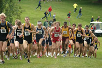 2008-11-02_12-44-14.jpg