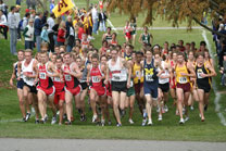 2008-11-02_12-49-32.jpg
