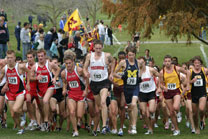 2008-11-02_12-49-33.jpg