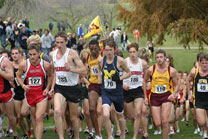 2008-11-02_12-49-34.jpg