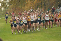2008-11-02_12-51-23.jpg
