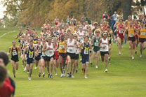 2008-11-02_12-51-25.jpg