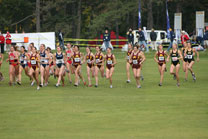 2008-11-02_11-47-06.jpg