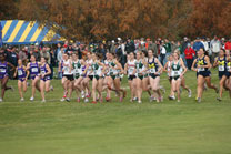 2008-11-02_11-47-08.jpg