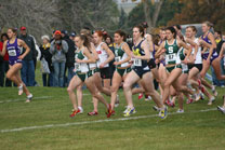 2008-11-02_11-47-12.jpg