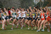 2008-11-02_11-47-13.jpg