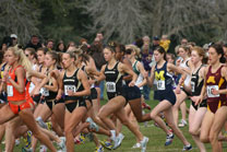 2008-11-02_11-47-15.jpg