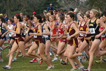 2008-11-02_11-47-16.jpg