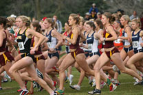 2008-11-02_11-47-17.jpg