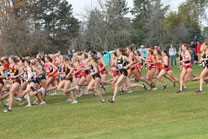 2008-11-02_11-47-18.jpg