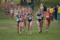 2008-11-02_11-51-59.jpg