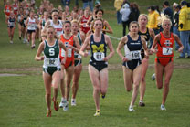2008-11-02_11-52-00.jpg