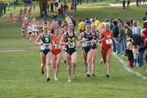 2008-11-02_11-52-02.jpg