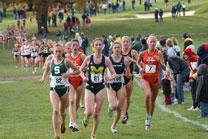 2008-11-02_11-52-03.jpg