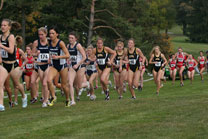 2008-11-02_11-48-09.jpg