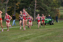 2008-11-02_11-48-13.jpg