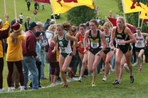 2008-11-02_11-50-28.jpg