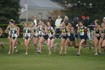 2008-11-02_11-55-41.jpg