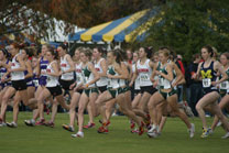 2008-11-02_11-55-43.jpg