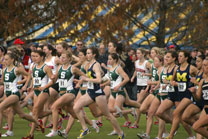 2008-11-02_11-55-45.jpg