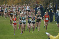 2008-11-02_11-59-20.jpg