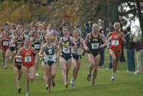 2008-11-02_11-59-21.jpg