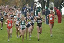 2008-11-02_11-59-23.jpg