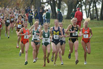 2008-11-02_11-59-25.jpg
