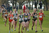 2008-11-02_11-59-26.jpg