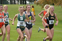 2008-11-02_11-59-29.jpg