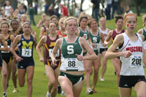 2008-11-02_11-59-34.jpg