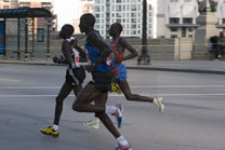 2008-10-12_09-53-38.jpg