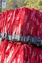 2008-10-12_10-41-30.jpg