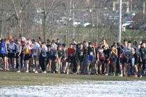 2008-11-29_13-36-34.jpg