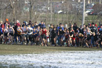 2008-11-29_13-36-43.jpg