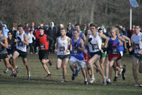 2008-11-29_13-36-50.jpg