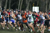 2008-11-29_13-36-52.jpg