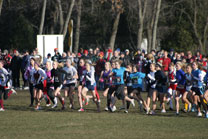 2008-11-29_12-51-38.jpg