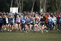 2008-11-29_12-51-39.jpg