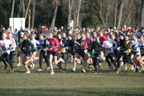2008-11-29_12-51-40.jpg