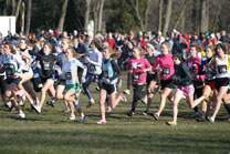 2008-11-29_12-51-41.jpg